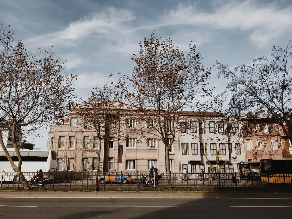 mold removal Reedsport