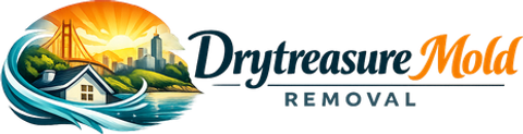 Drytreasure Mold Removal